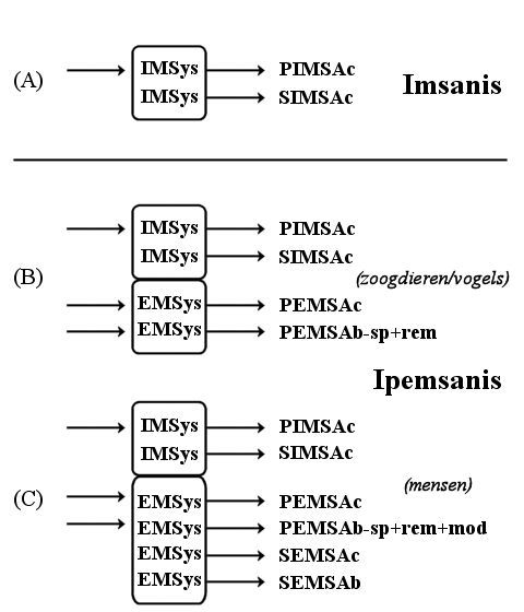 dimapec