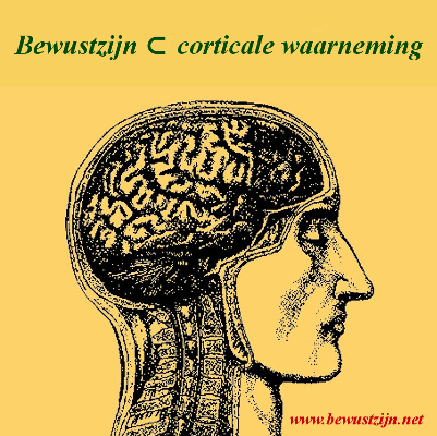 Bewustzijn ⊂ corticale waarneming