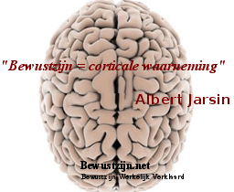 ´Bewustzijn = corticale waarneming´- Albert Jarsin - hersenen