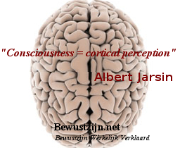 ´Consciousness = cortical perception´- Albert Jarsin - brain