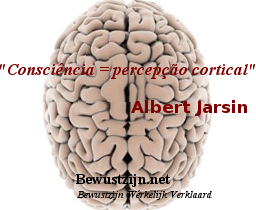 ´Consciência = percepção cortical´- Albert Jarsin - cérebro